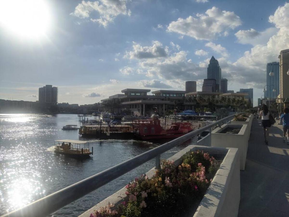 Florida Dream Vacation All New With Amenities Lutz Extérieur photo